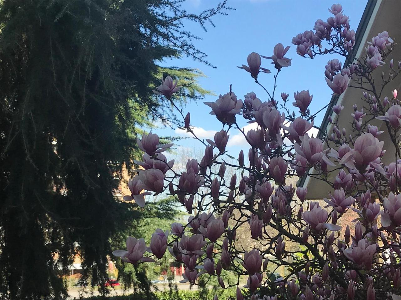 B&B Borgo Dei Fiori Rozzano Eksteriør bilde